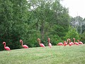 Matthaei Botanical Gardens 2010 0190